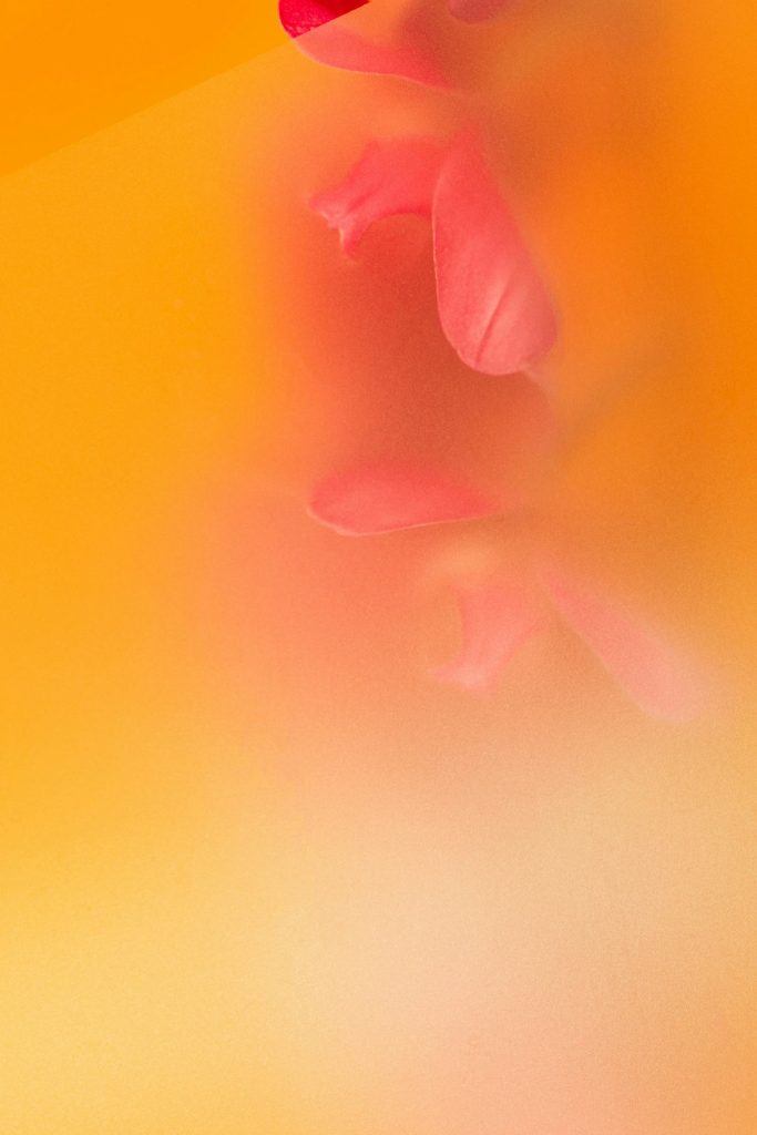 perimenopause vs menopause